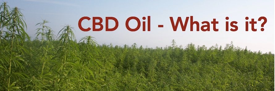CBD Oil Rub Beardsley 
      MN 56211